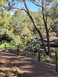A pathway leads to a beautiful garden filled with trees, flowers, and a bench for relaxation.