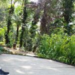 A person is sitting on a bench in a forest, surrounded by greenery.