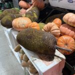 A pile of pumpkins and squash are displayed on a table.