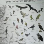 A poster of various birds is displayed.