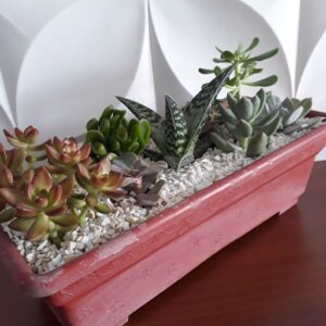 A red planter filled with various plants.