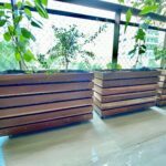 A row of wooden planters with plants in them.