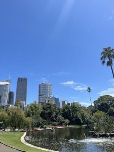 A serene park scene with a pond, palm trees, and a city skyline in the background.