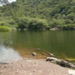 A serene scene of a lake with a rock in the water and a tree in the background.