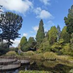 A serene scene of a pond surrounded by trees and a bench for relaxation.