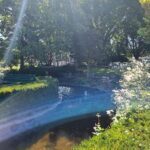 A serene scene of a pond with a bench overlooking it, surrounded by trees and flowers.