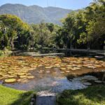 A serene scene of a pond with a waterfall, surrounded by lush greenery and a mountain in the background.