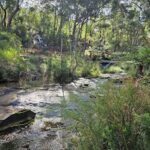 A serene scene of a river flowing through a forest, with a few rocks and trees surrounding the water.