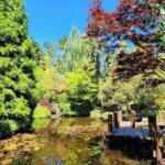 A serene scene of a wooden dock on a pond, surrounded by trees and flowers.