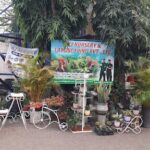 A sign advertising a nursery and landscaping business is displayed in front of a tree.