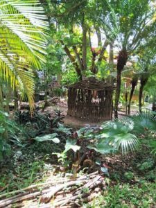 A small hut made of sticks is located in the middle of a forest.