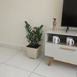 A small potted plant sits on a table next to a TV.