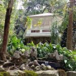 A small white house is nestled in the woods, surrounded by lush greenery and a waterfall.