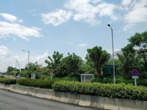 A street with a green wall and a street light.