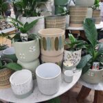 A table full of pots and plants, including a variety of vases and bowls.