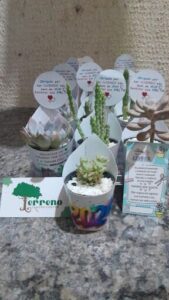 A table with a variety of potted plants and cards.