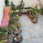 A variety of potted plants are displayed on a patio, including a slide and a bench.
