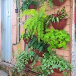 A wall of potted plants with a variety of greenery.