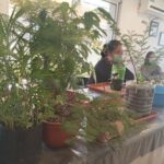 A woman sits in front of a table filled with various plants, including a potted plant and a vase.