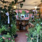 A woman stands behind a bar in a lush greenhouse, surrounded by potted plants and a variety of flowers.