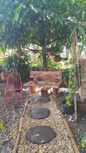 A wooden bench sits under a tree, surrounded by potted plants and a few bowls.