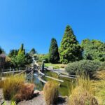 A wooden bridge over a pond with a blue sky above.