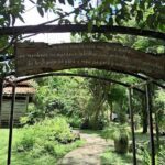 A wooden sign with a quote written on it, surrounded by trees and plants.