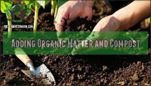 adding organic matter and compost