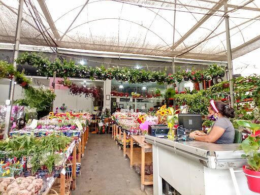 Agroflores Salvador