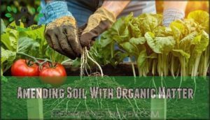 amending soil with organic matter