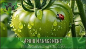 aphid management