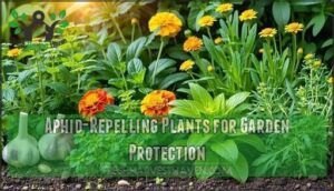 aphid-repelling plants for garden protection