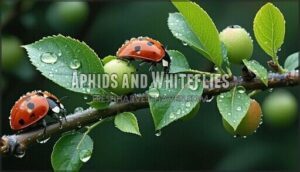 aphids and whiteflies