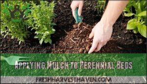 applying mulch to perennial beds