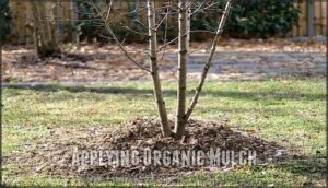 applying organic mulch
