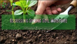 assessing spring soil moisture