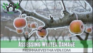 assessing winter damage