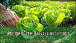avoiding over-harvesting lettuce