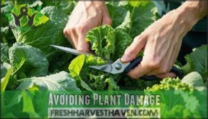 avoiding plant damage