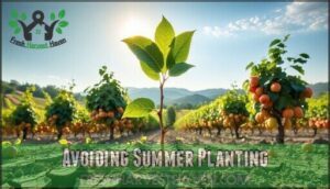 avoiding summer planting