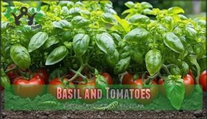 basil and tomatoes