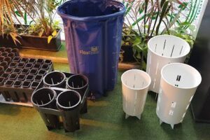 Basta de Lobby Grow Shop