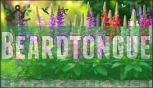 beardtongue