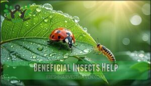 beneficial insects help