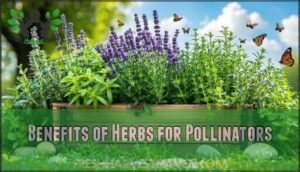 benefits of herbs for pollinators