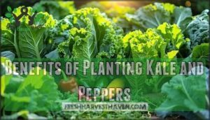 benefits of planting kale and peppers