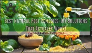 best natural pest remedies