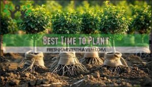 best time to plant