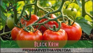 black krim