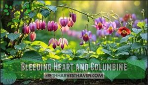 bleeding heart and columbine
